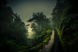 canvas-print-levada-walk-x