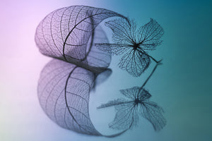 framedposter-print-story-of-leaf-and-flower