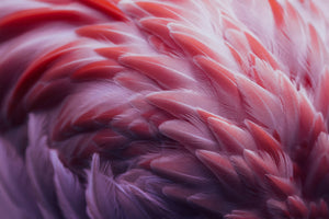 acrylic-print-flamingo-xqw