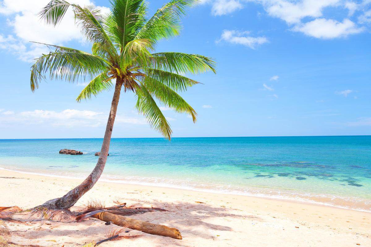 canvas-print-the-own-island