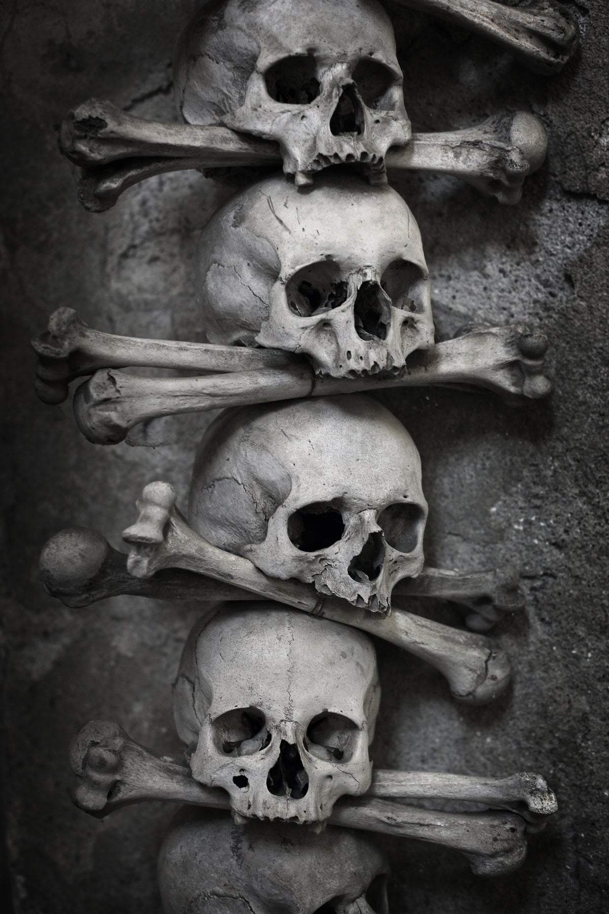 aluminium-print-skulls