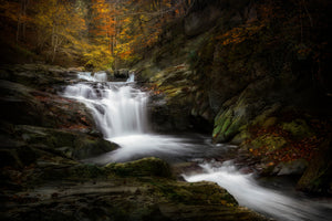 acrylic-print-irati-jungle-x