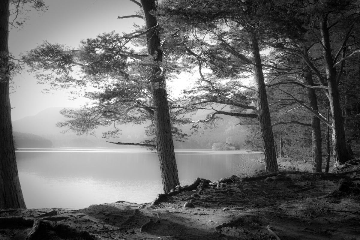 acrylic-print-loch-an-eilein