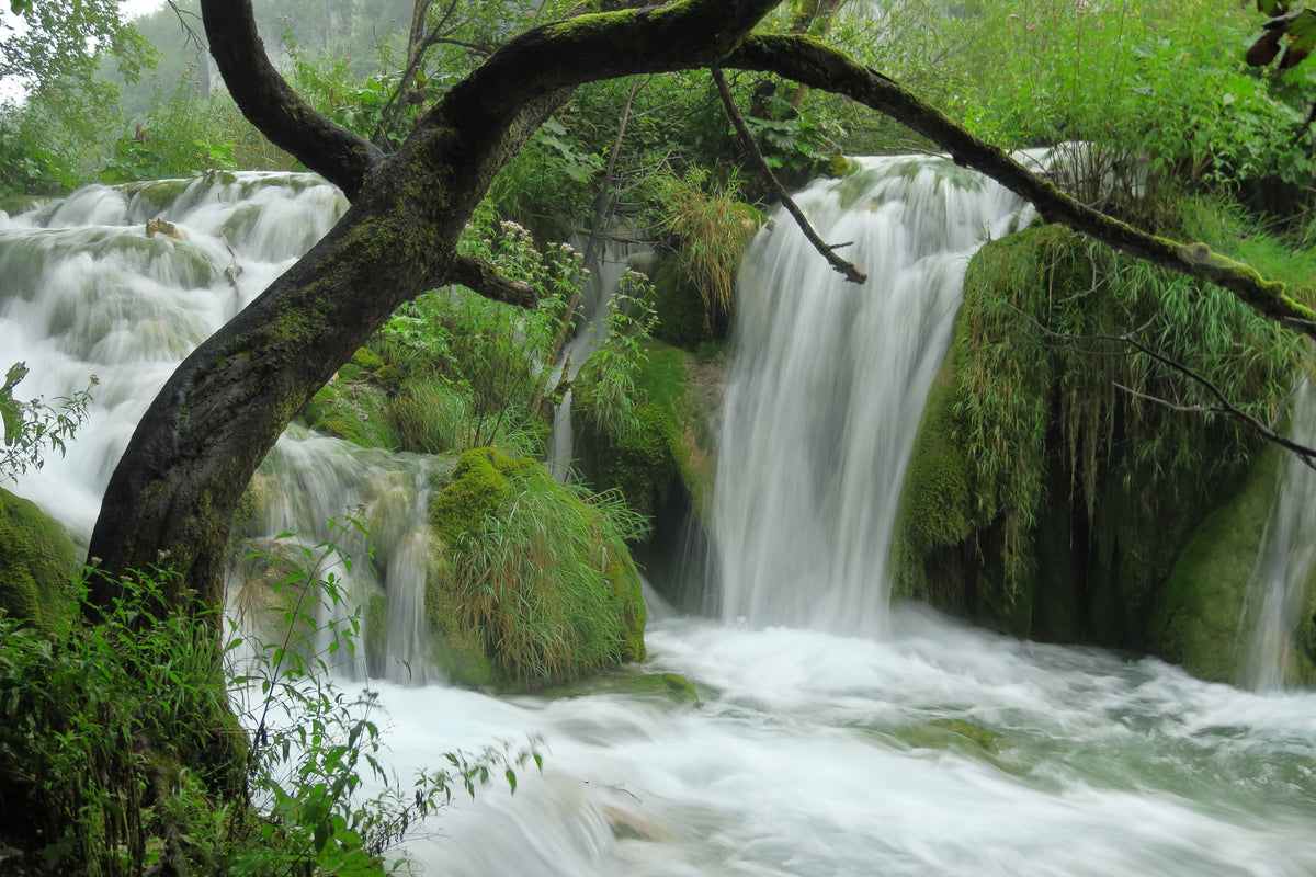 framedcanvas-print-in-the-national-park