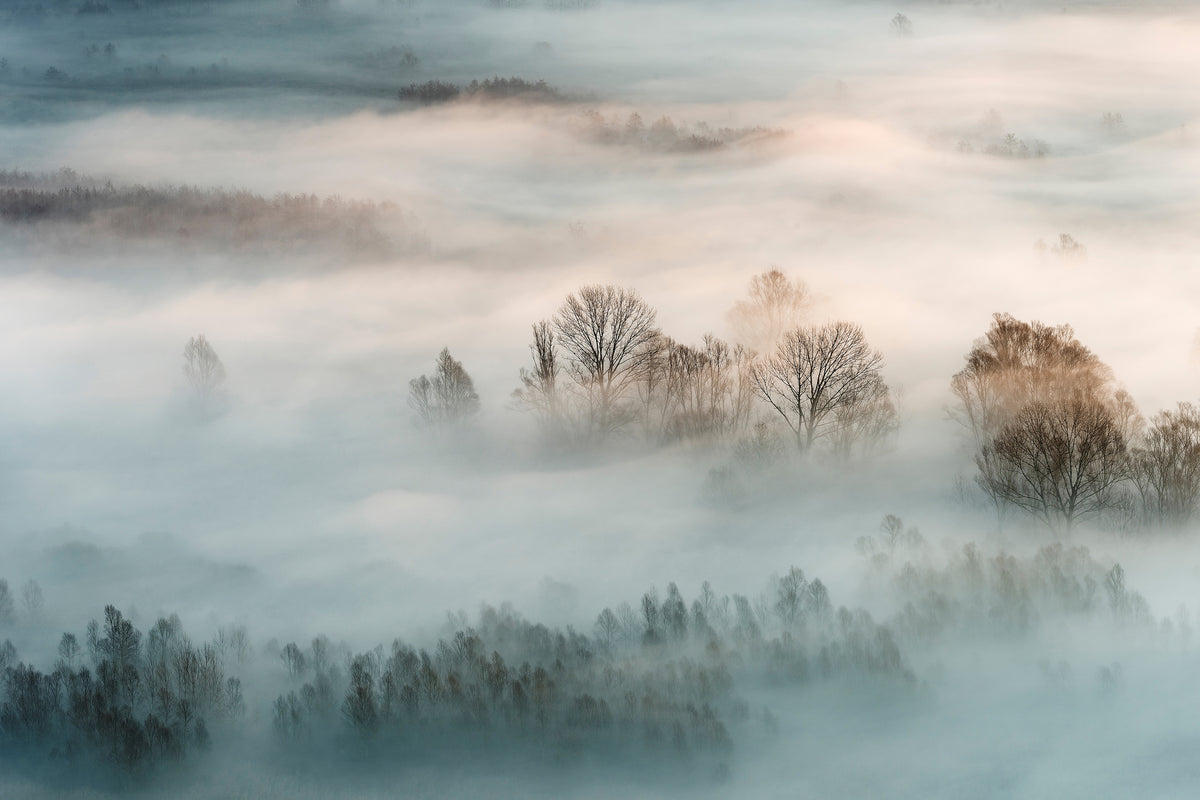 canvas-print-winter-fog