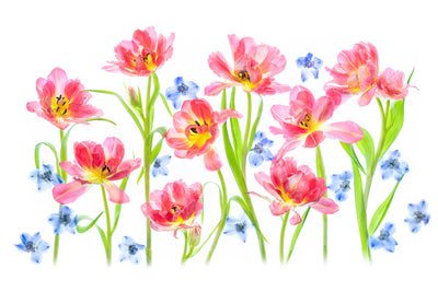 poster-print-spring-delight-x
