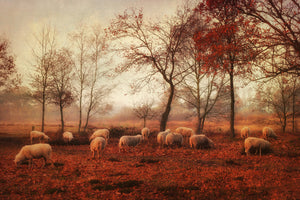 3-piece-canvas-print-last-days-of-autumn