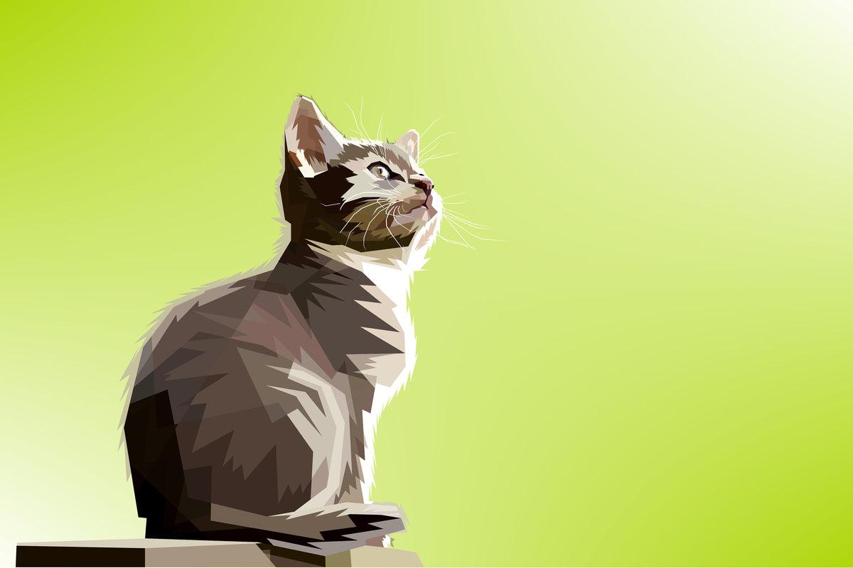 aluminium-print-pop-art-cat-xl