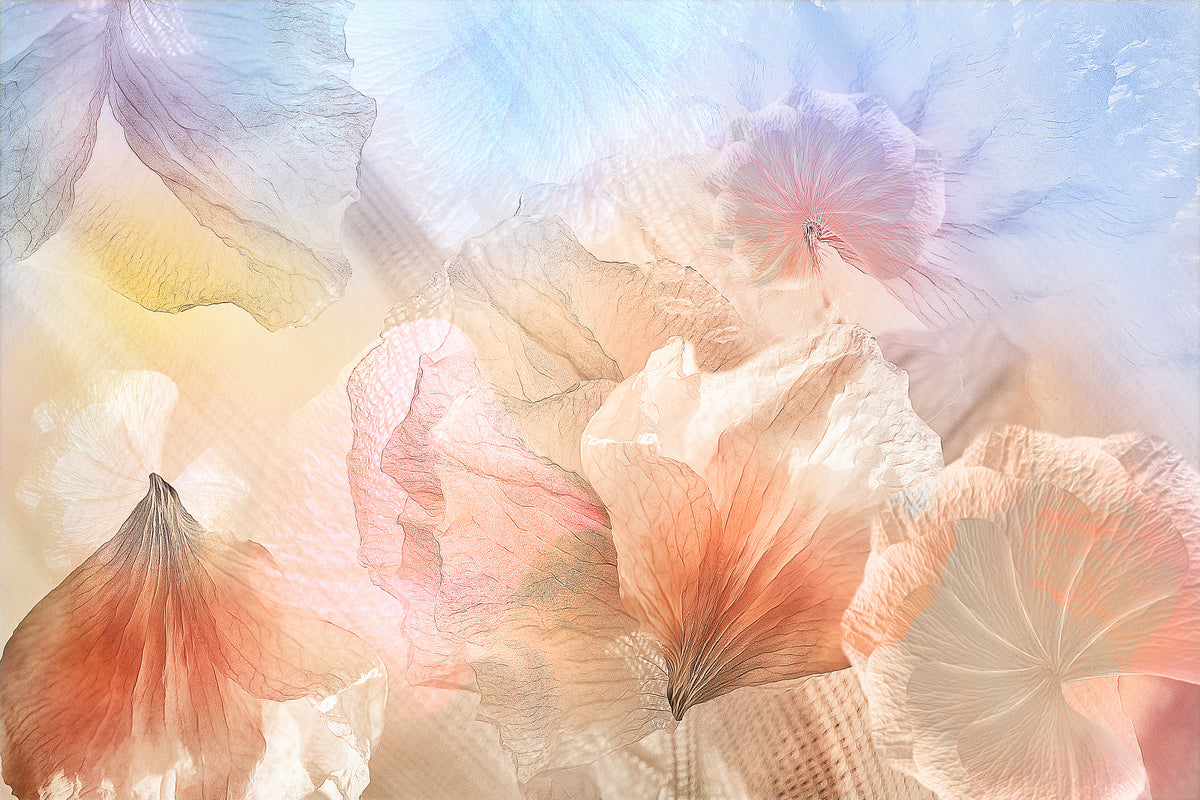 aluminium-print-ethereal-flowers-x