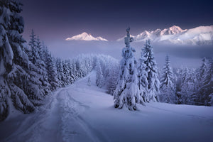 poster-print-in-the-winter-x
