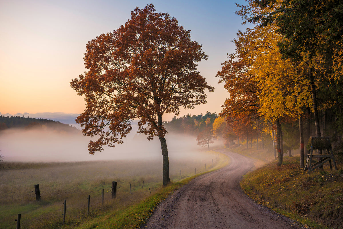 canvas-print-countryside-vibes-x