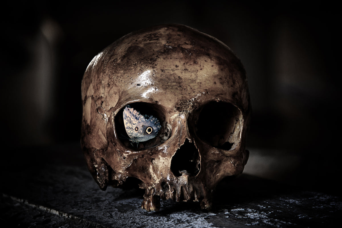 framedposter-print-the-skull