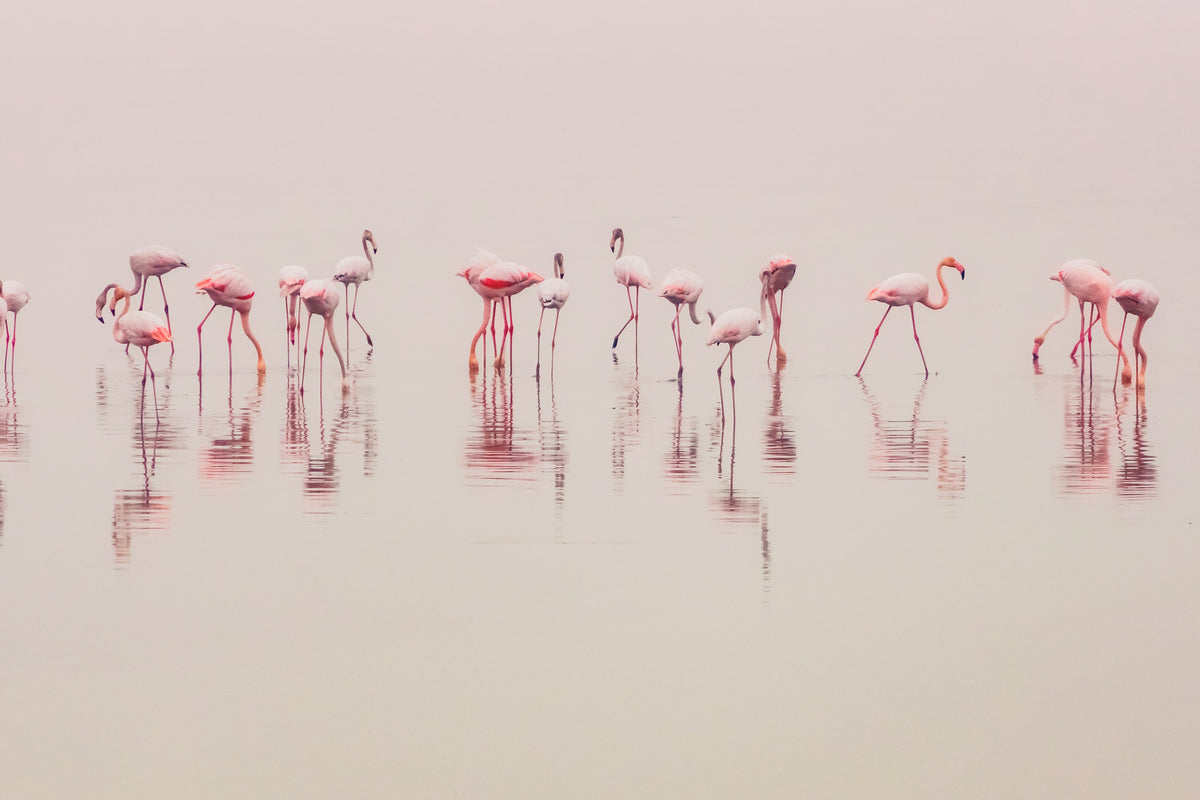 canvas-print-water-ballet-x
