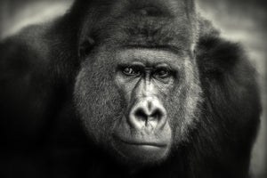 acrylic-print-little-smile-x
