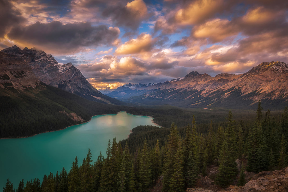 aluminium-print-peyto-lake-at-dusk