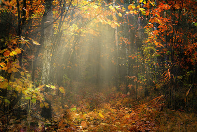 poster-print-we-love-autumn