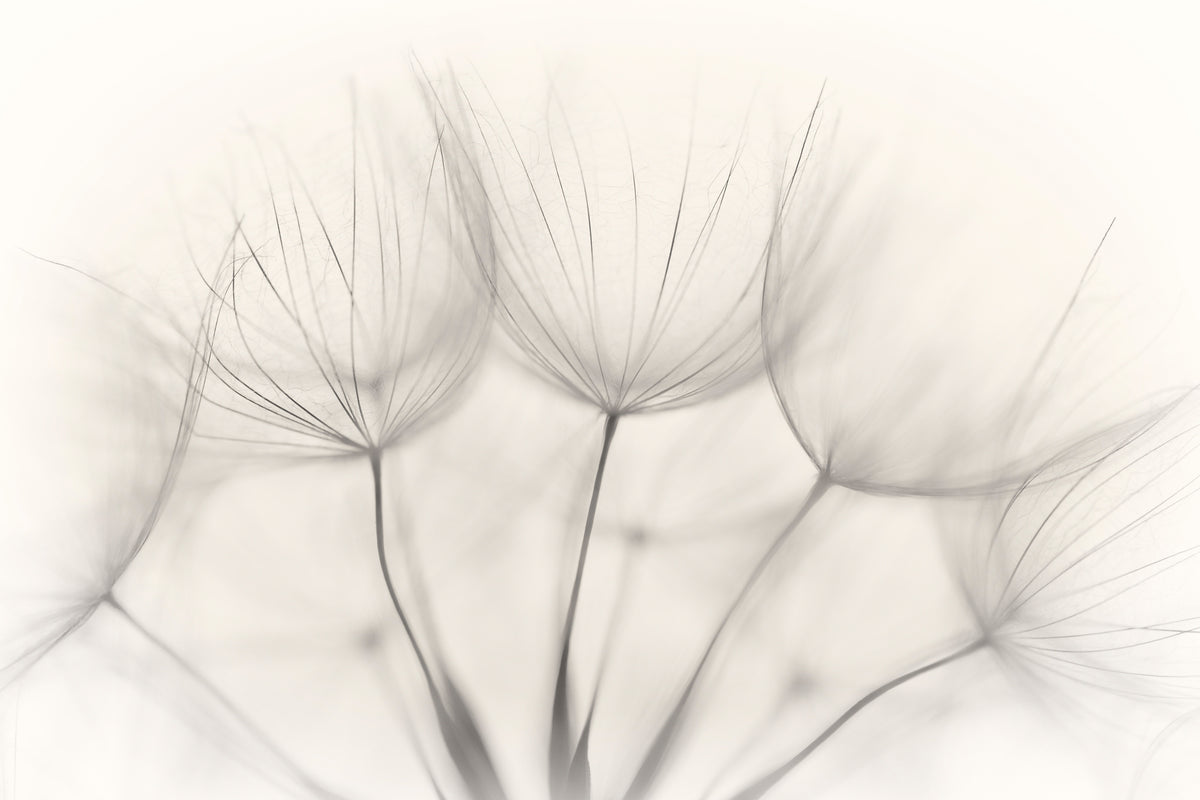 3-piece-acrylic-print-no-title