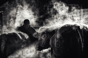 framedcanvas-print-farm-life