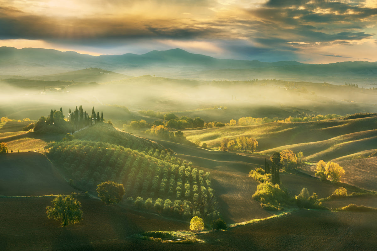acrylic-print-autumn-a