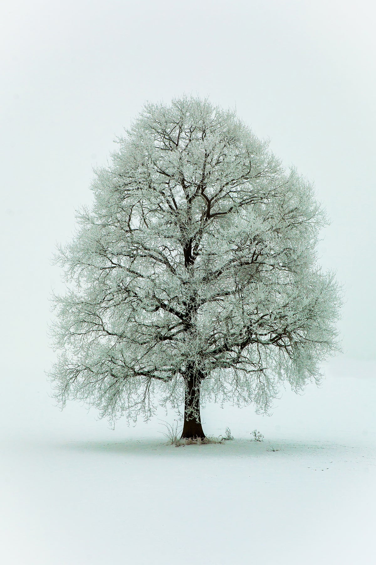 acrylic-print-nimloth-x