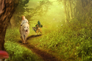 3-piece-aluminium-print-forest-excursion