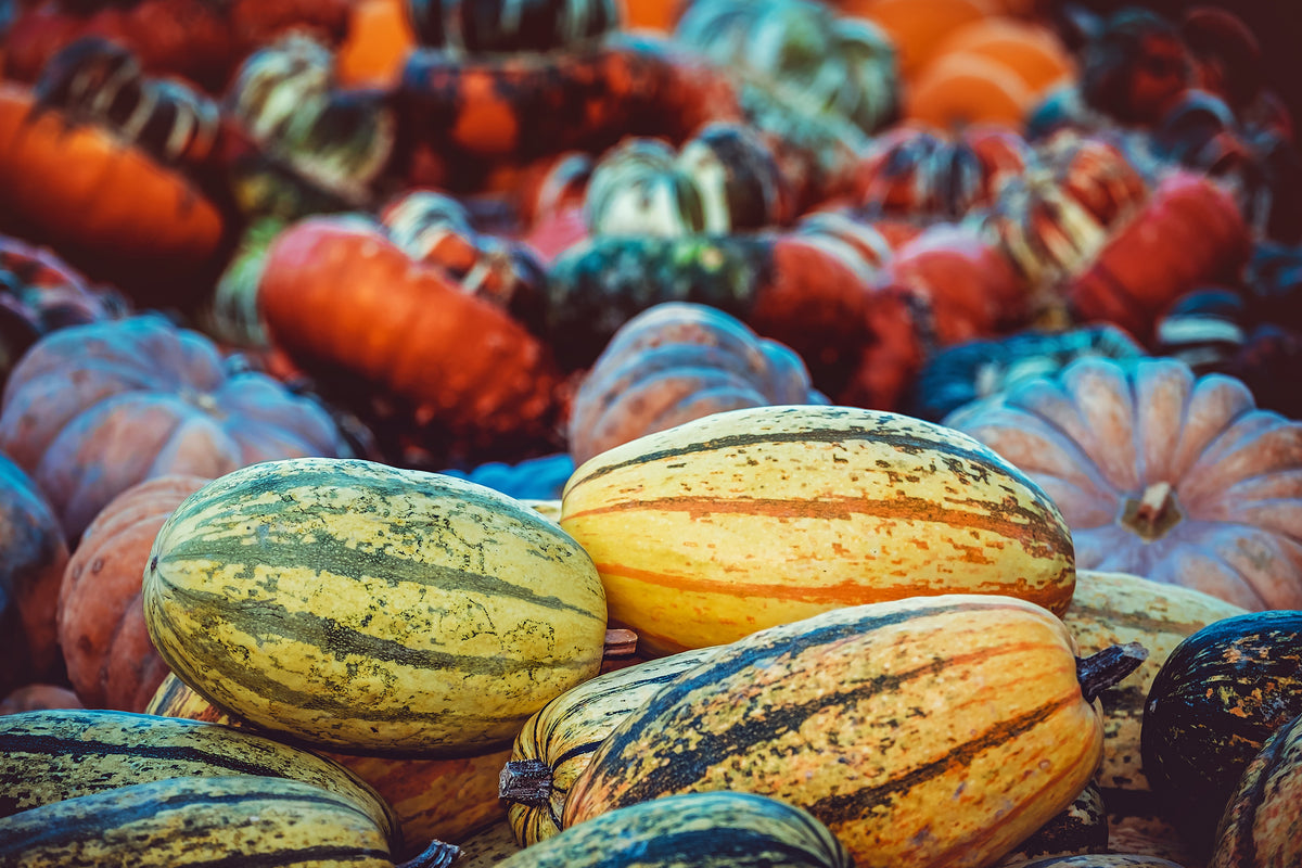 acrylic-print-pumpkin-types
