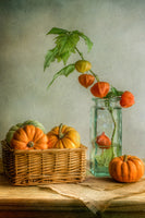 framedcanvas-print-autumn-xqk