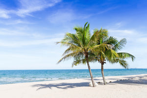 framedcanvas-print-thailand-dream-beach