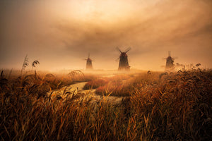 poster-print-a-fascinating-morning-x