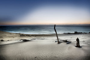 framedposter-print-reach-for-the-sun-x