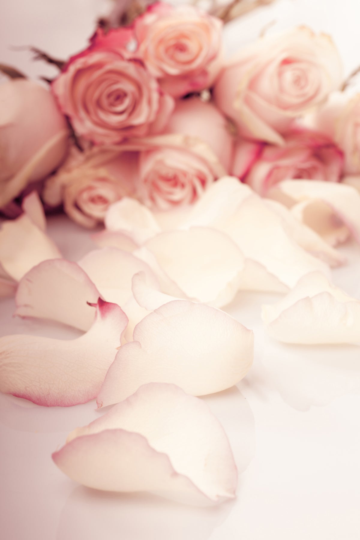 framedposter-print-soft-rose-petals