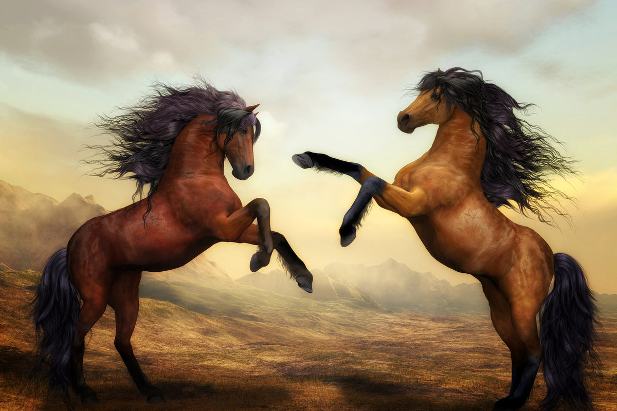 poster-print-two-wild-horses