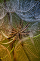 framedcanvas-print-inside-x