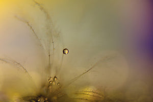 acrylic-print-feeling-of-a-new-day