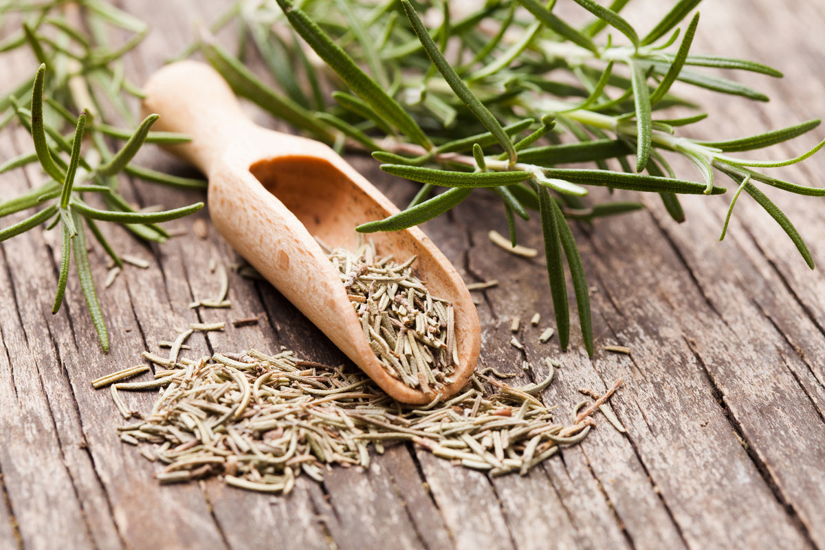 canvas-print-rosemary