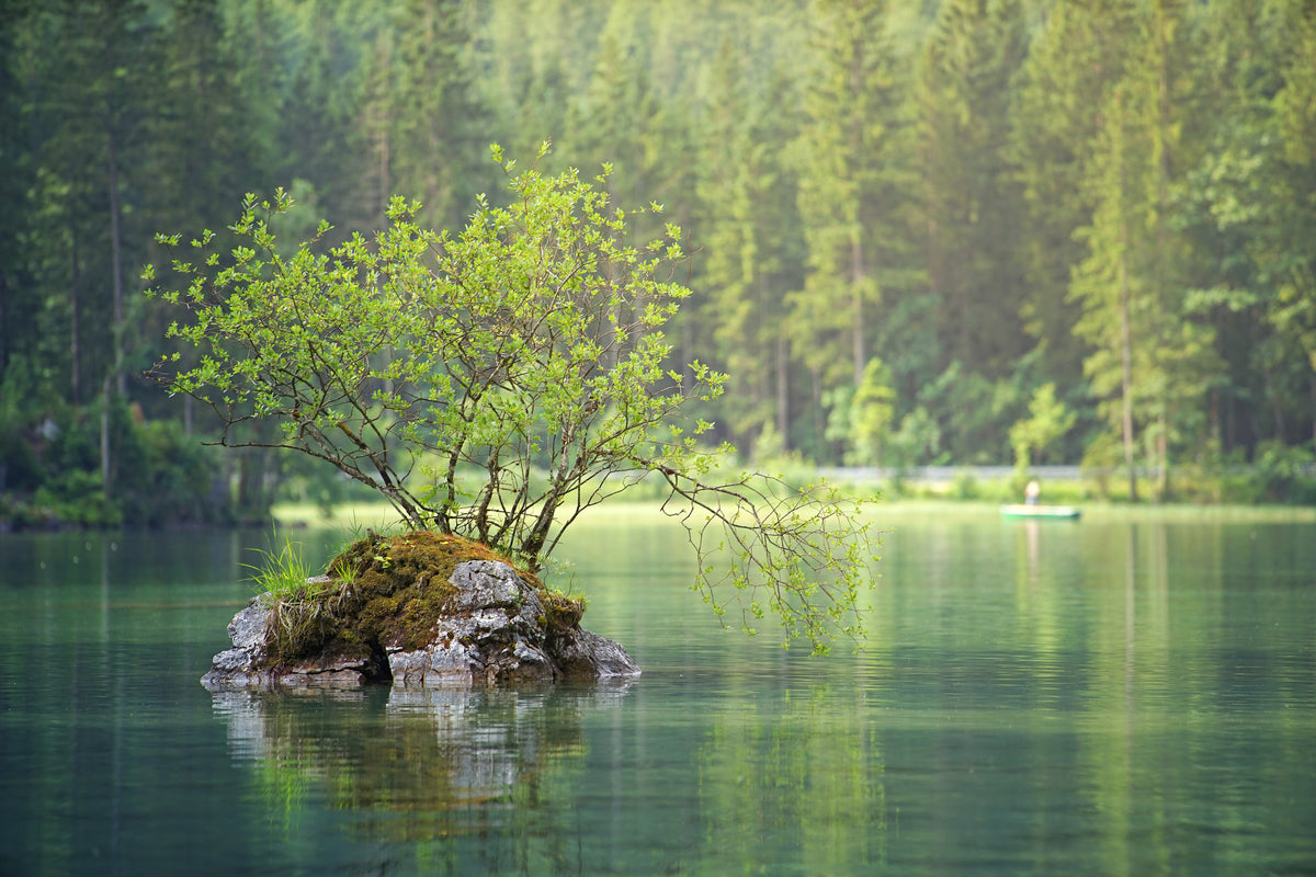 aluminium-print-the-pond-in-the-forest