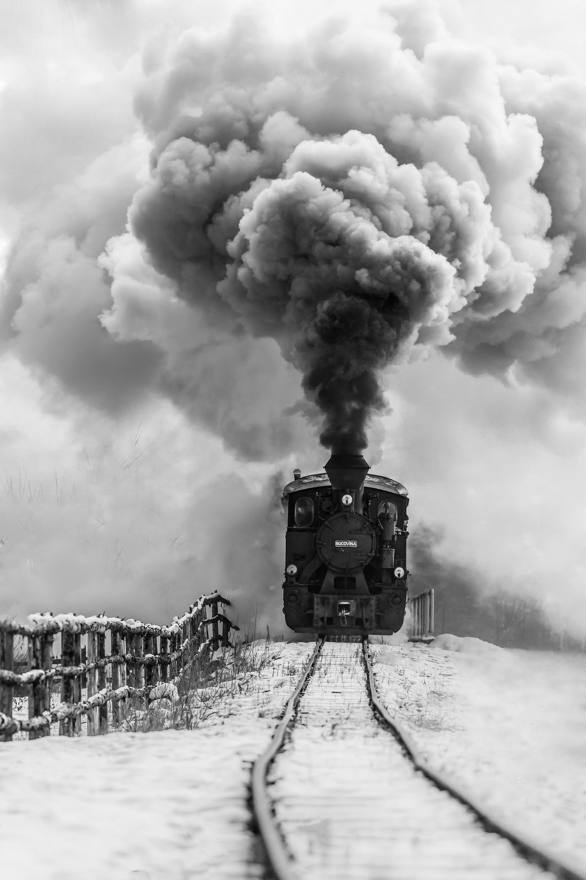 aluminium-print-old-train