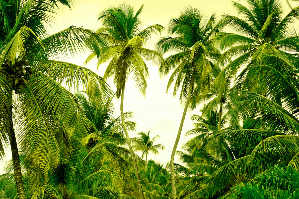 canvas-print-mural-ready-for-a-vacation