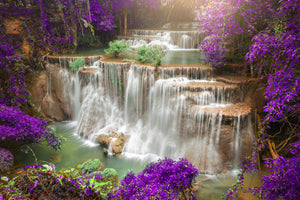 framedposter-print-photowallpaper-garden-eden