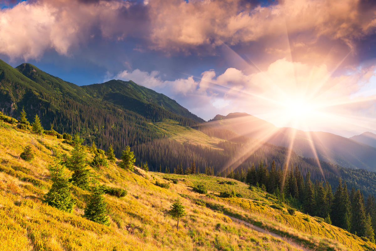 canvas-print-beginning-of-autumn