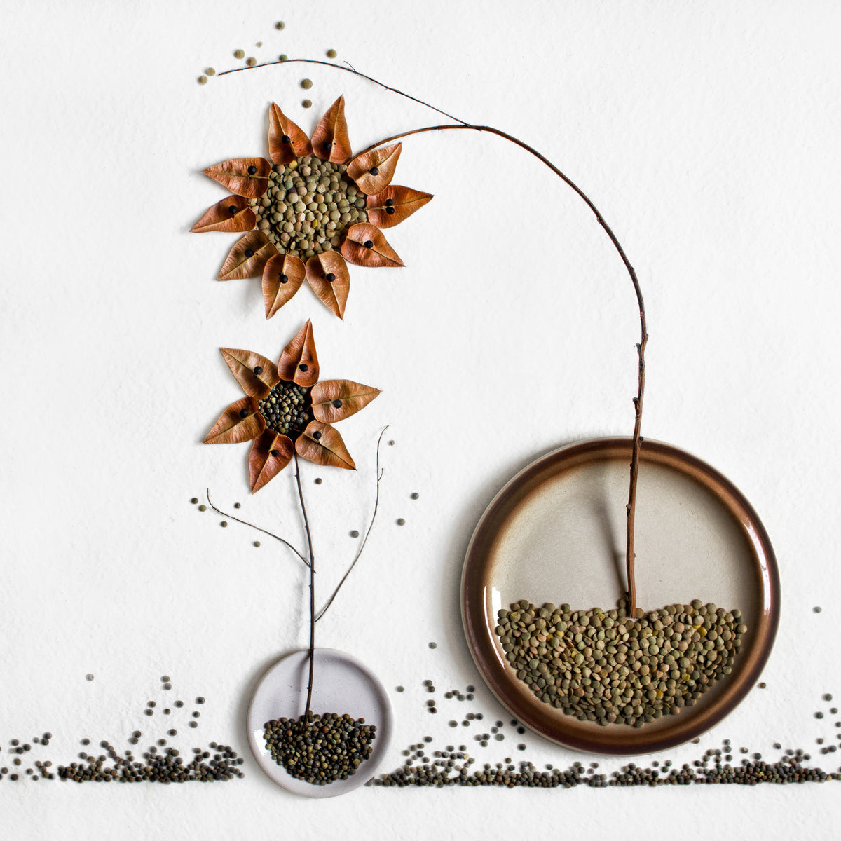 4-piece-aluminium-print-herbarium