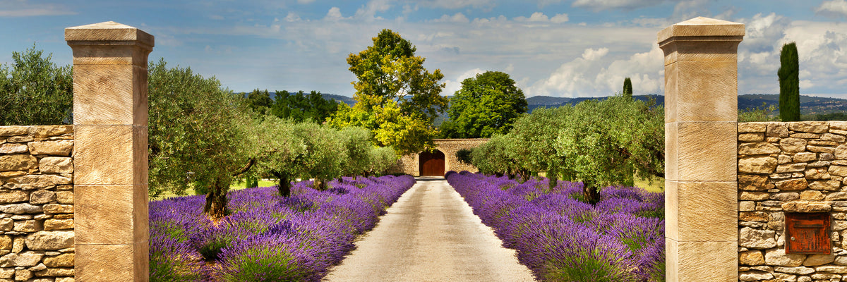 panoramic-3-piece-aluminium-print-lavender-garden-panorama