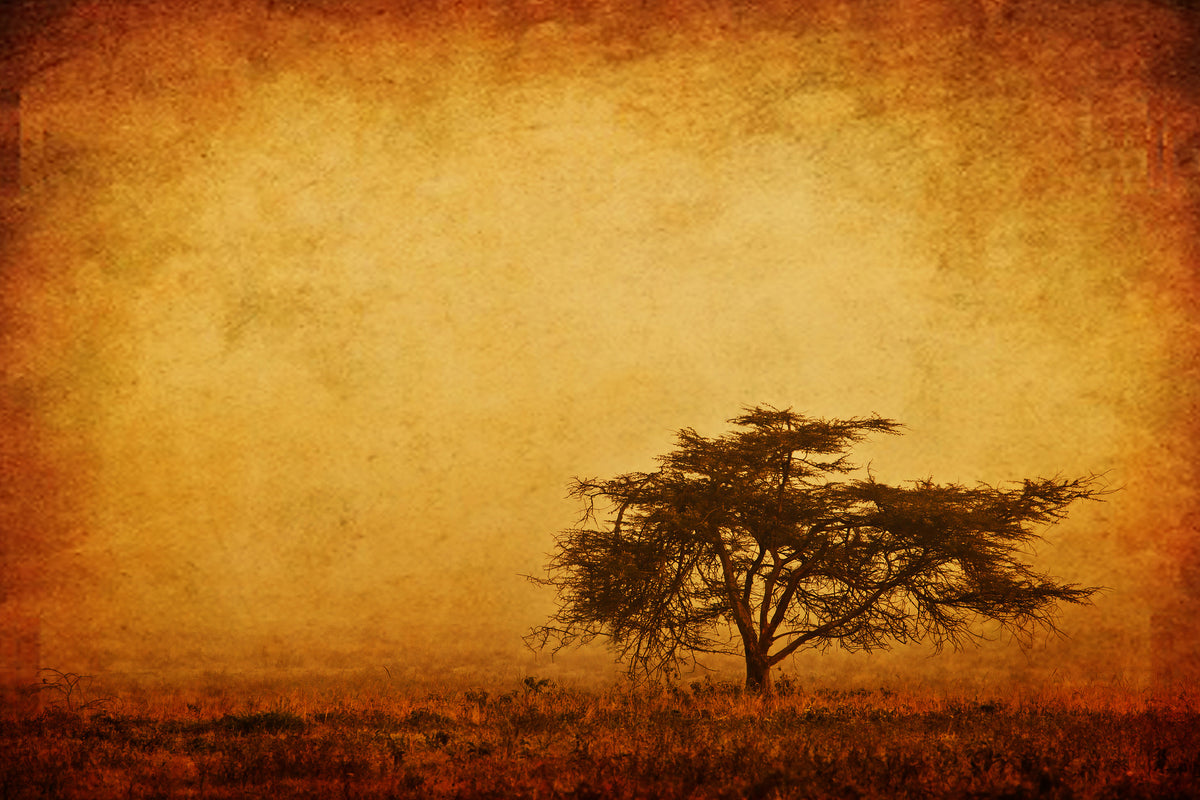 framedposter-print-sunset-mood