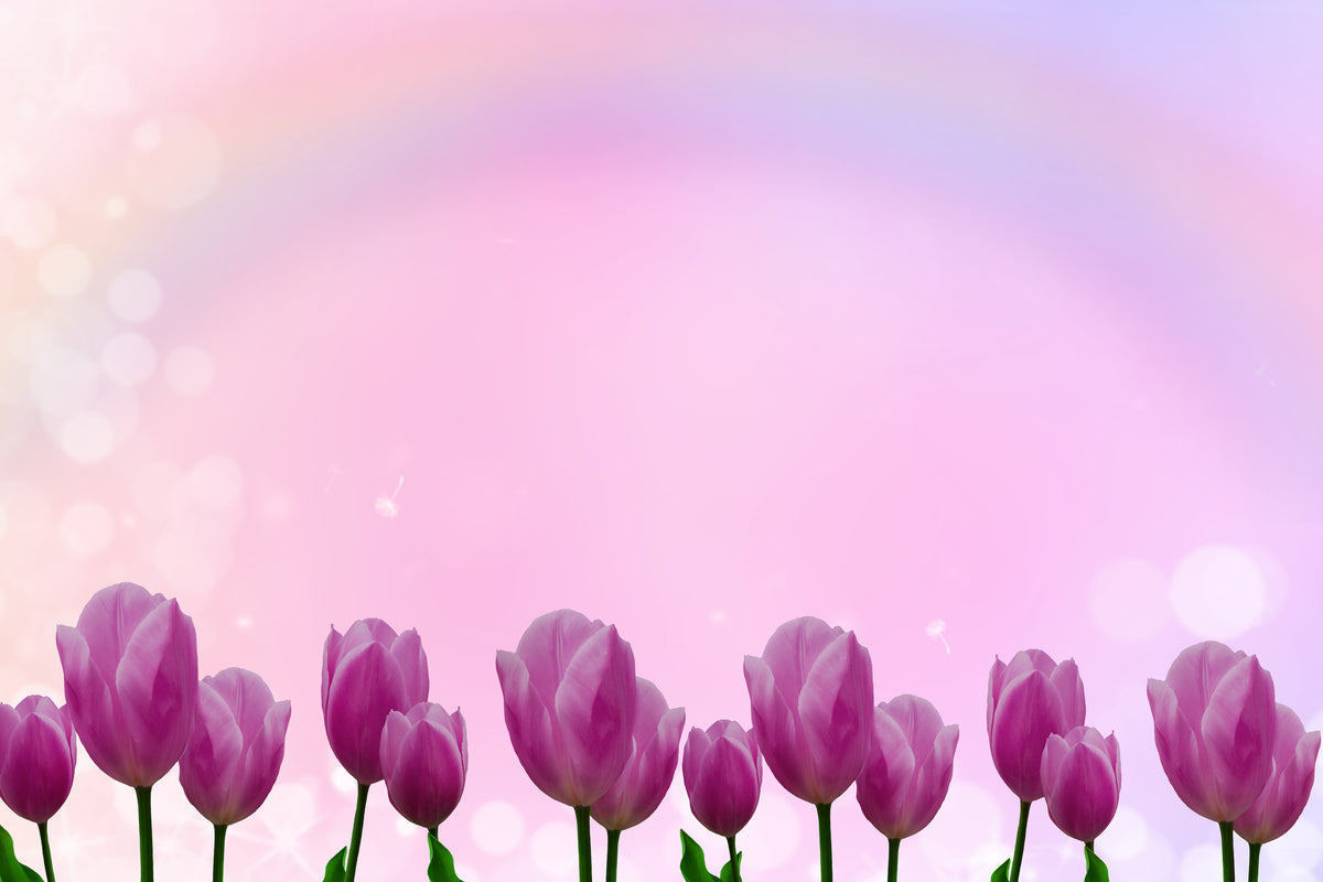 framedcanvas-print-sweet-tulips