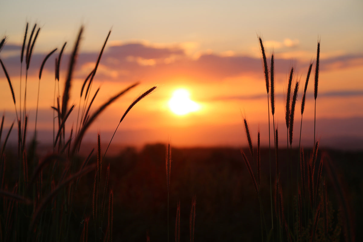 3-piece-acrylic-print-adorable-sunset