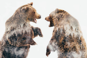 framedcanvas-print-wild-conflicts-x