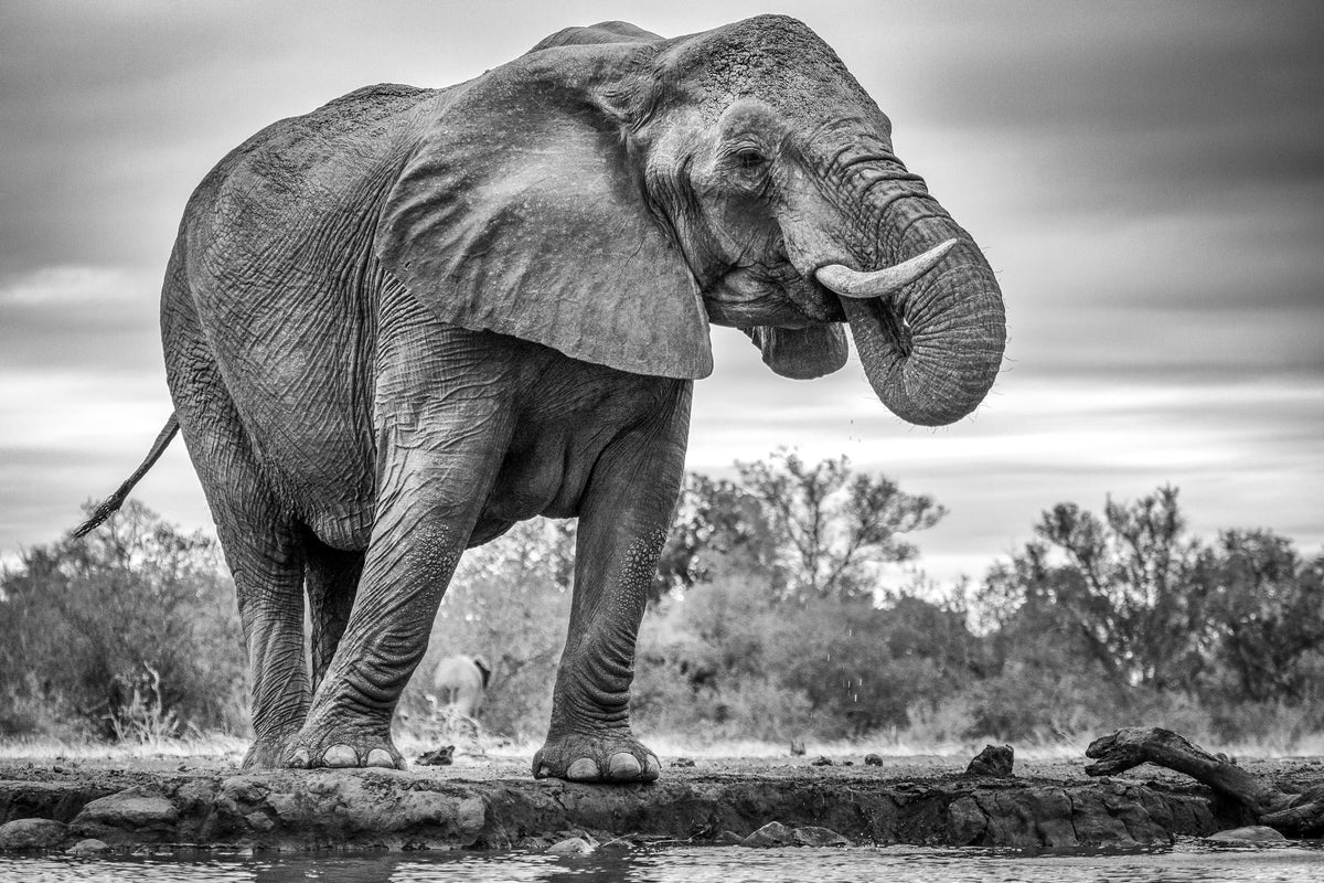 canvas-print-standing-proud