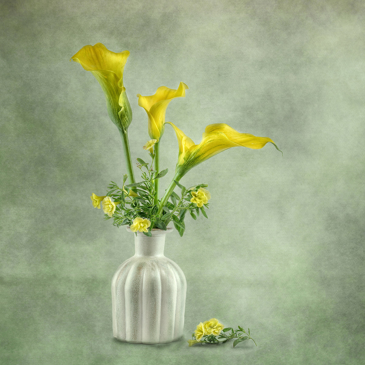 poster-print-calia-lillies