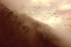 framedposter-print-departure