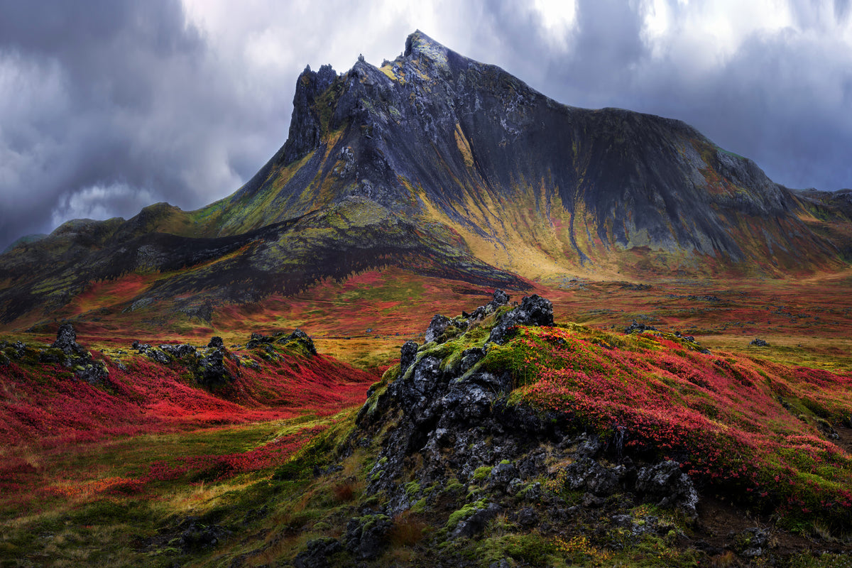 framedposter-print-the-lady-of-snaefellsnes